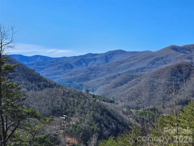 000 Blue Vista Road, Canton, NC 28716