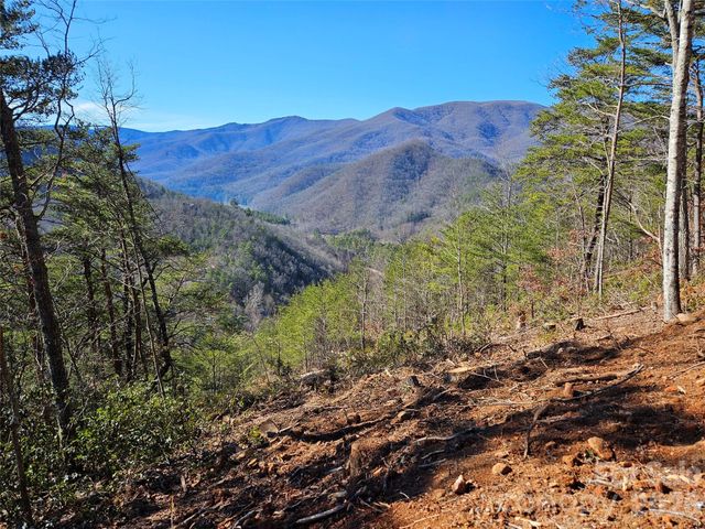 000 Blue Vista Road, Canton, NC 28716