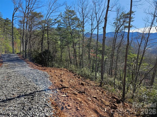 000 Blue Vista Road, Canton, NC 28716