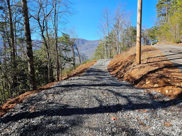 000 Blue Vista Road, Canton, NC 28716