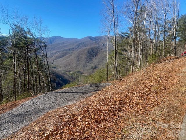 000 Blue Vista Road, Canton, NC 28716