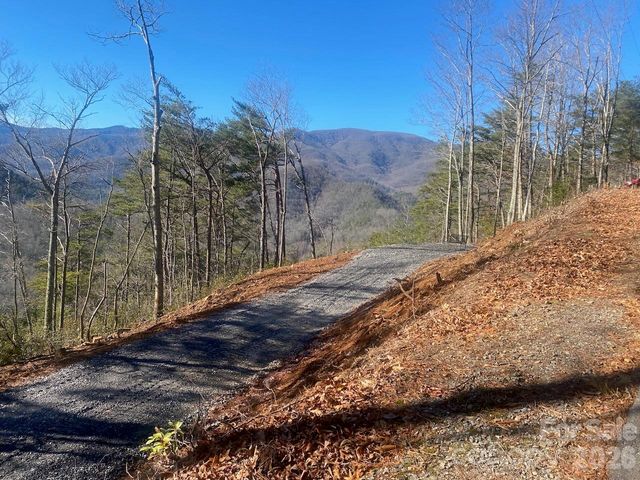 000 Blue Vista Road, Canton, NC 28716