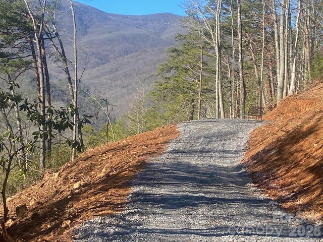 000 Blue Vista Road, Canton, NC 28716