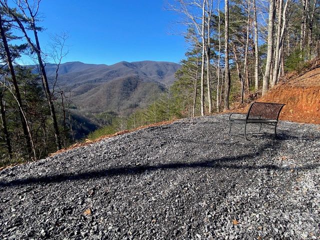 000 Blue Vista Road, Canton, NC 28716