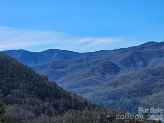 000 Blue Vista Road, Canton, NC 28716