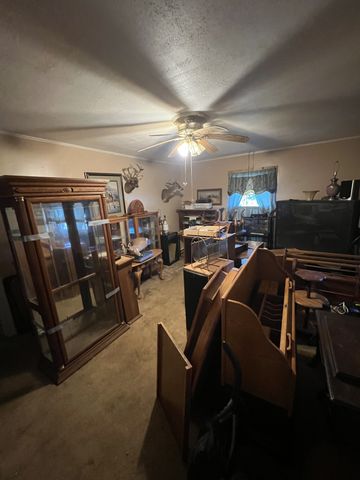 1410 Mill St, Pulaski, TN 38478