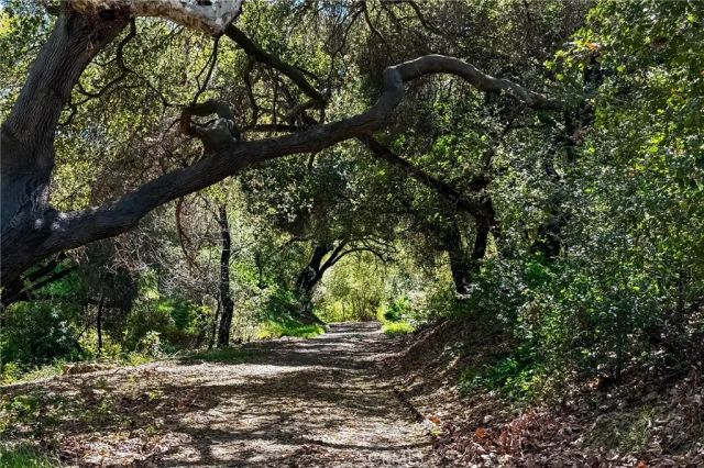 1920 Flint Rock Road, Diamond Bar, CA 91765