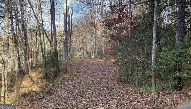 1 Barefoot Hills Road, Hiawassee, GA 30546