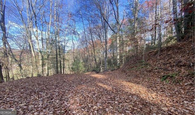 1 Barefoot Hills Road, Hiawassee, GA 30546