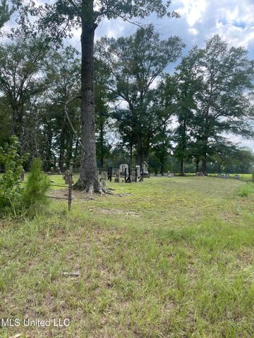 000 NE Bahalia Road, Wesson, MS 39191