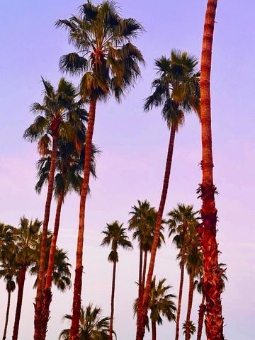 2696 S Sierra Madre F14, Palm Springs, CA 92264