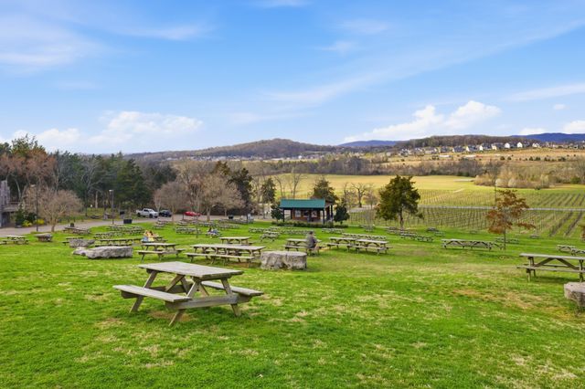 7033 Fiddlers Glen Dr, Arrington, TN 37014