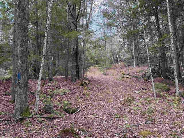 37 Maple Road, Canaan, NH 03741