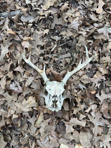 7977 Leavenworth, Mead, OK 73449