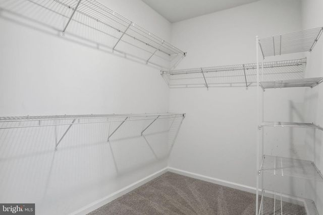 23402 BUTTONBUSH WAY, Millville, DE 19967