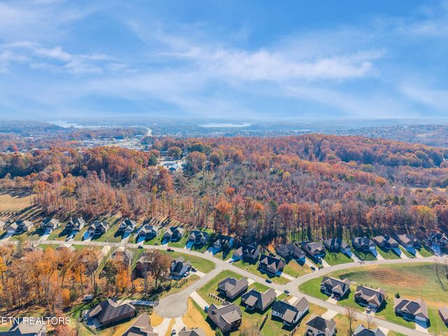 597 Carrington Blvd, Lenoir City, TN 37771