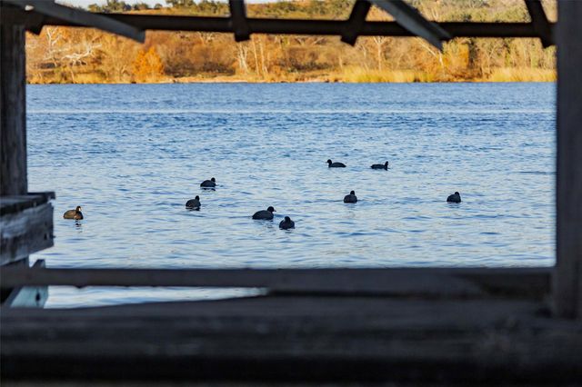 185 Roadrunner LN, Burnet, TX 78611