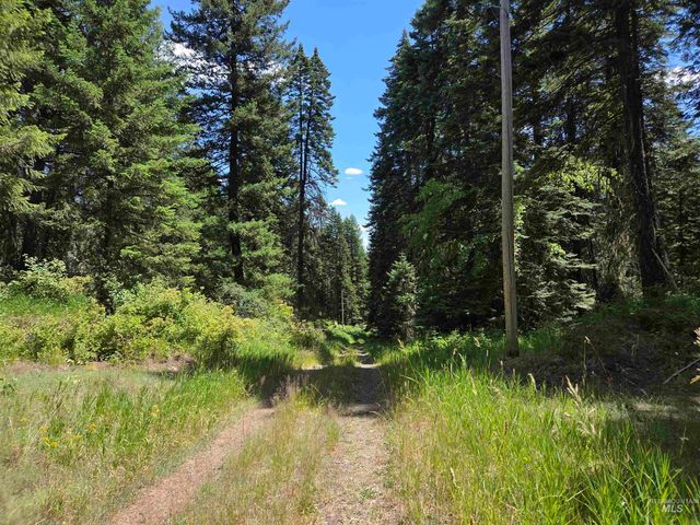 1200 White Pine Flats Rd, Troy, ID 83871