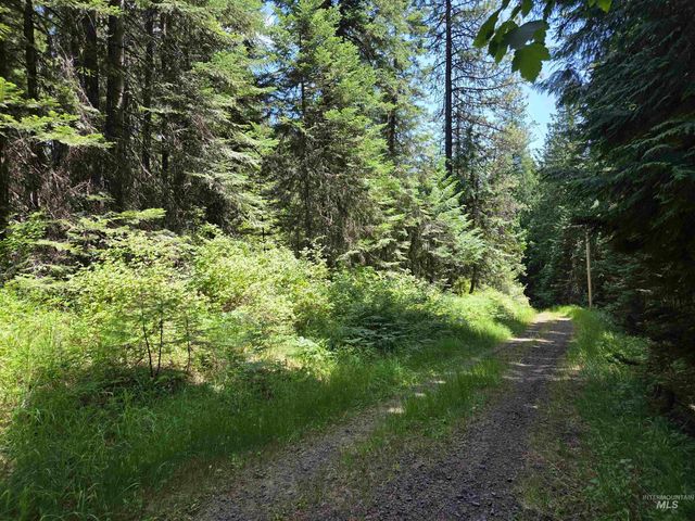 1200 White Pine Flats Rd, Troy, ID 83871