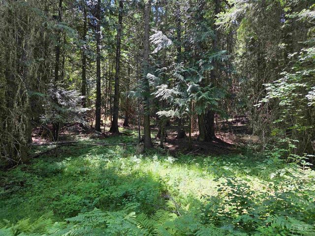 1200 White Pine Flats Rd, Troy, ID 83871