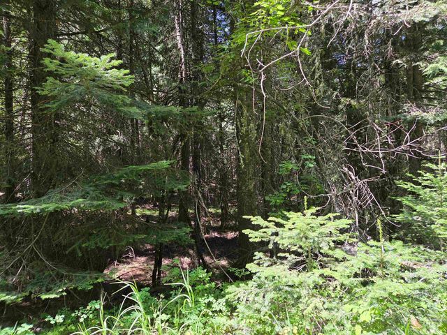 1200 White Pine Flats Rd, Troy, ID 83871