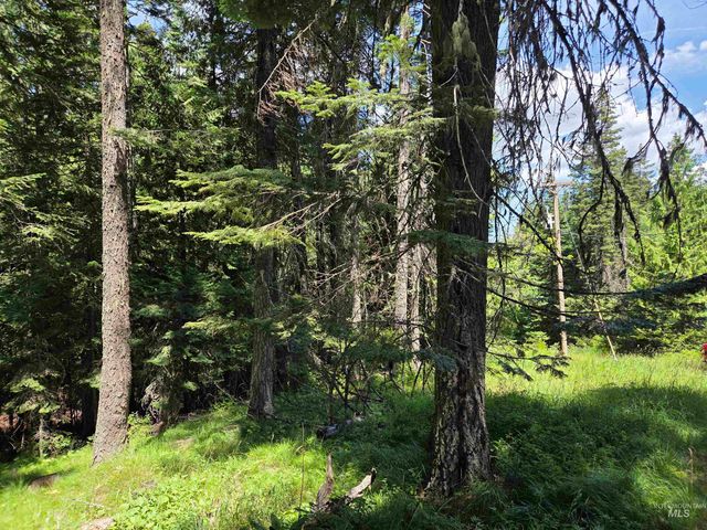 1200 White Pine Flats Rd, Troy, ID 83871