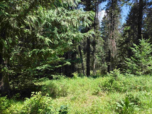 1200 White Pine Flats Rd, Troy, ID 83871