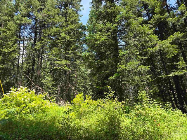 1200 White Pine Flats Rd, Troy, ID 83871