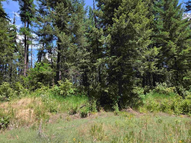 1200 White Pine Flats Rd, Troy, ID 83871