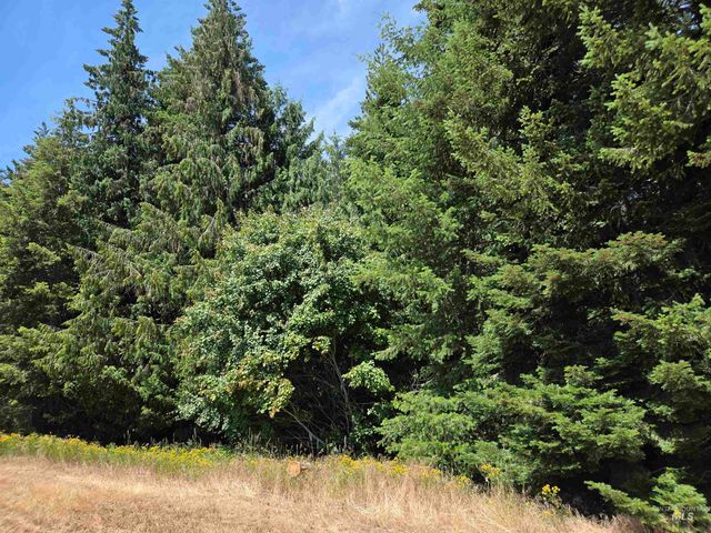 1200 White Pine Flats Rd, Troy, ID 83871