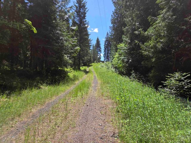 1200 White Pine Flats Rd, Troy, ID 83871