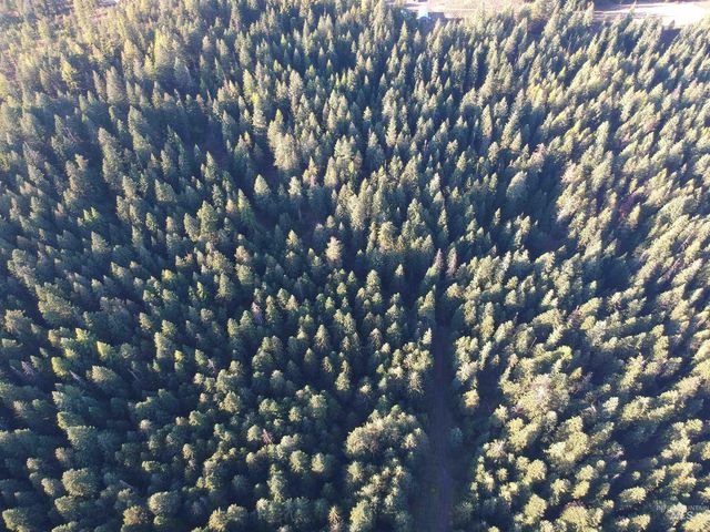 1200 White Pine Flats Rd, Troy, ID 83871