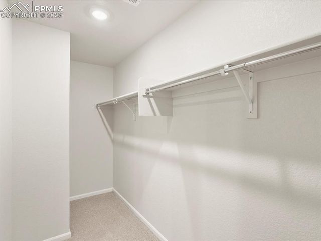 11388 Saugeye Street, Colorado Springs, CO 80925