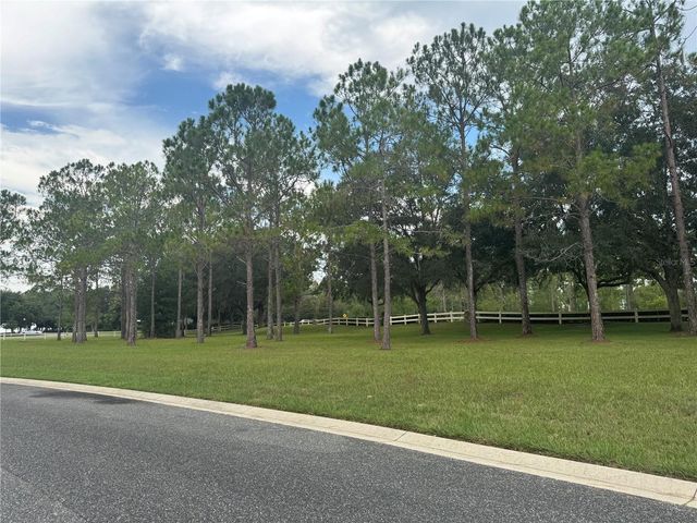 34314 TUSCANY AVENUE, Sorrento, FL 32776