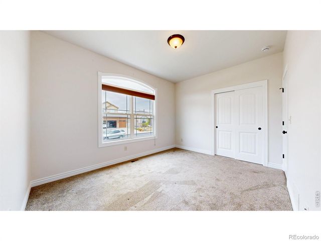 313 Telluride Drive, Windsor, CO 80550