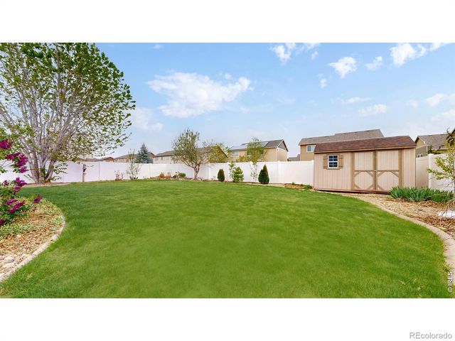 313 Telluride Drive, Windsor, CO 80550