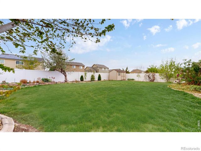 313 Telluride Drive, Windsor, CO 80550