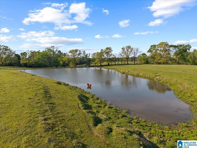 1347 HAMM ROAD, Blountsville, AL 35031