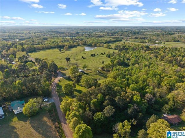 1347 HAMM ROAD, Blountsville, AL 35031