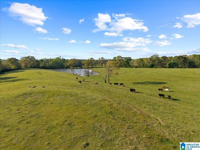 1347 HAMM ROAD, Blountsville, AL 35031