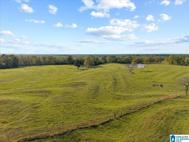 1347 HAMM ROAD, Blountsville, AL 35031