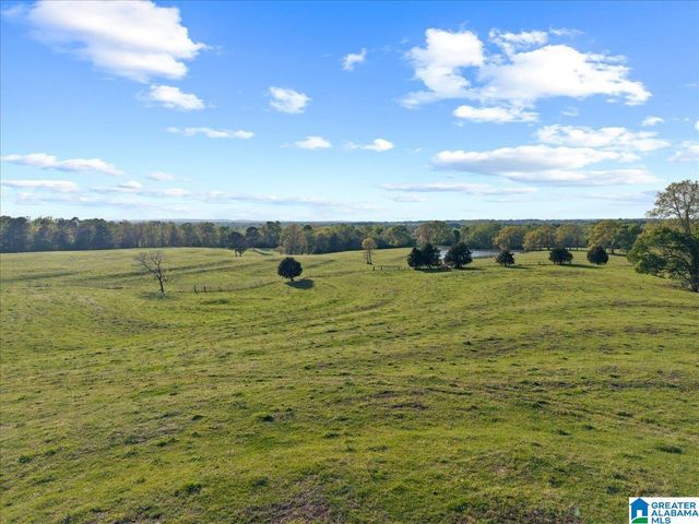 1347 HAMM ROAD, Blountsville, AL 35031