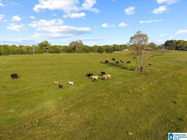 1347 HAMM ROAD, Blountsville, AL 35031