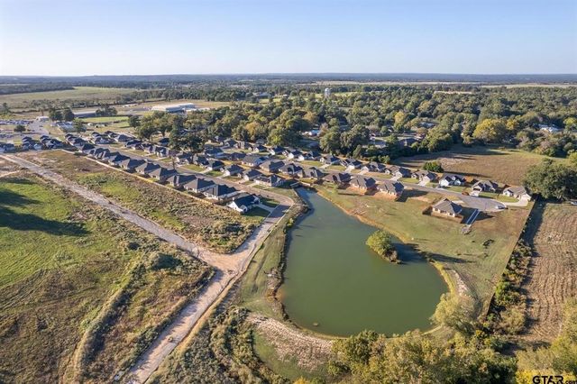 110 Rose Row Lane, Winona, TX 75792