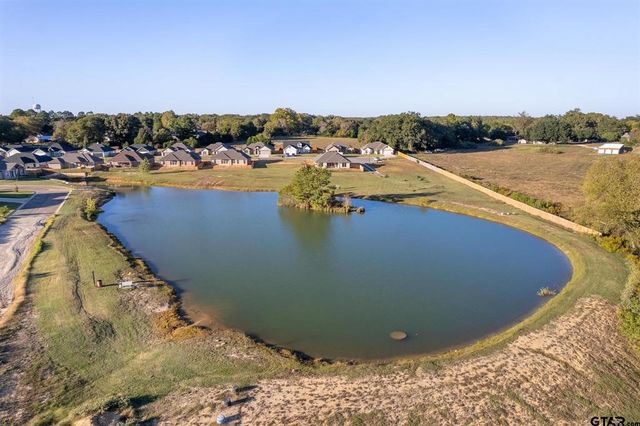 110 Rose Row Lane, Winona, TX 75792