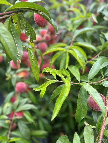 2650 Pennsylvania Avenue, St Louis, MO 63118