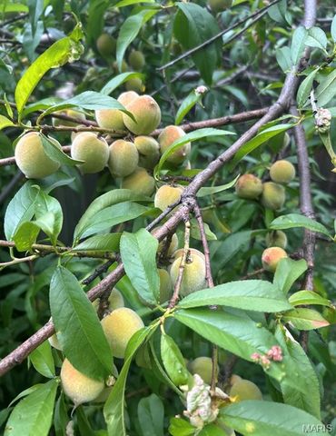 2650 Pennsylvania Avenue, St Louis, MO 63118