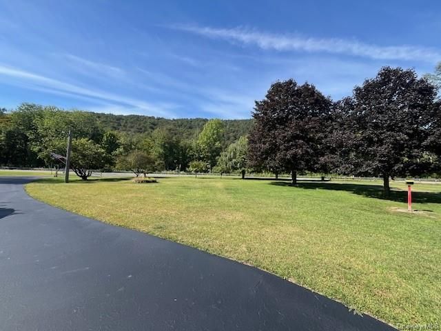 17 Watson, Roscoe, NY 12776