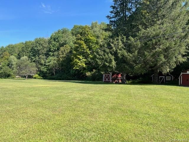 17 Watson, Roscoe, NY 12776