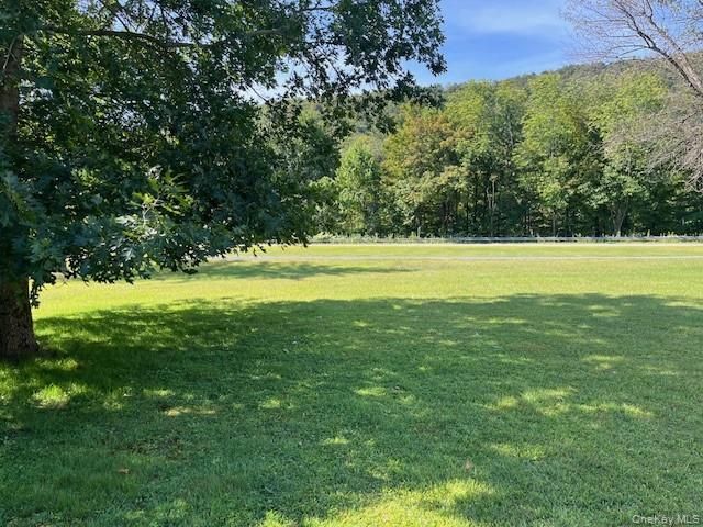 17 Watson, Roscoe, NY 12776